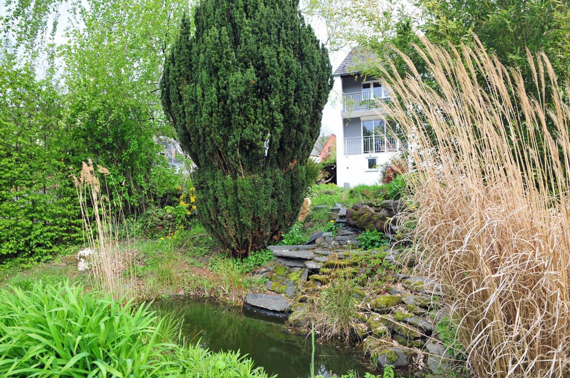 Ferienwohnung Noviomagus Neumagen-Dhron Exterior foto